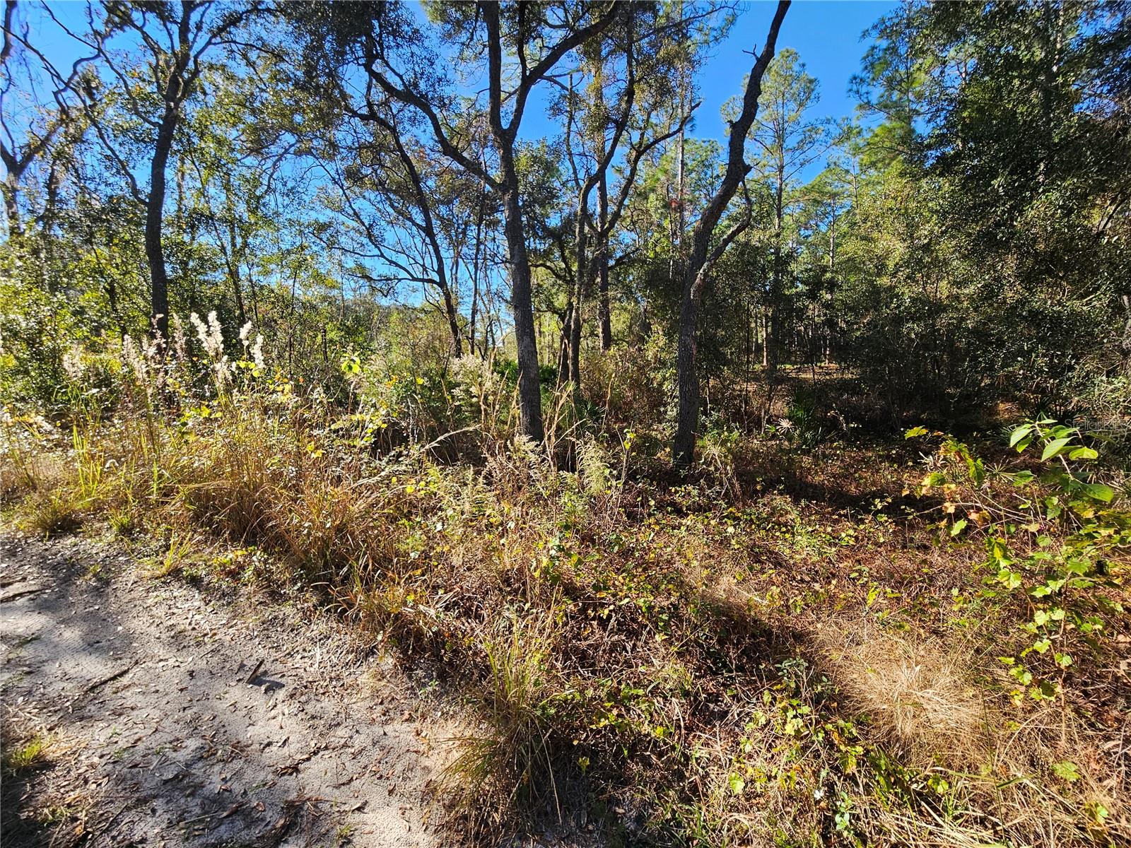 Berryhill Dr Property Photo 5