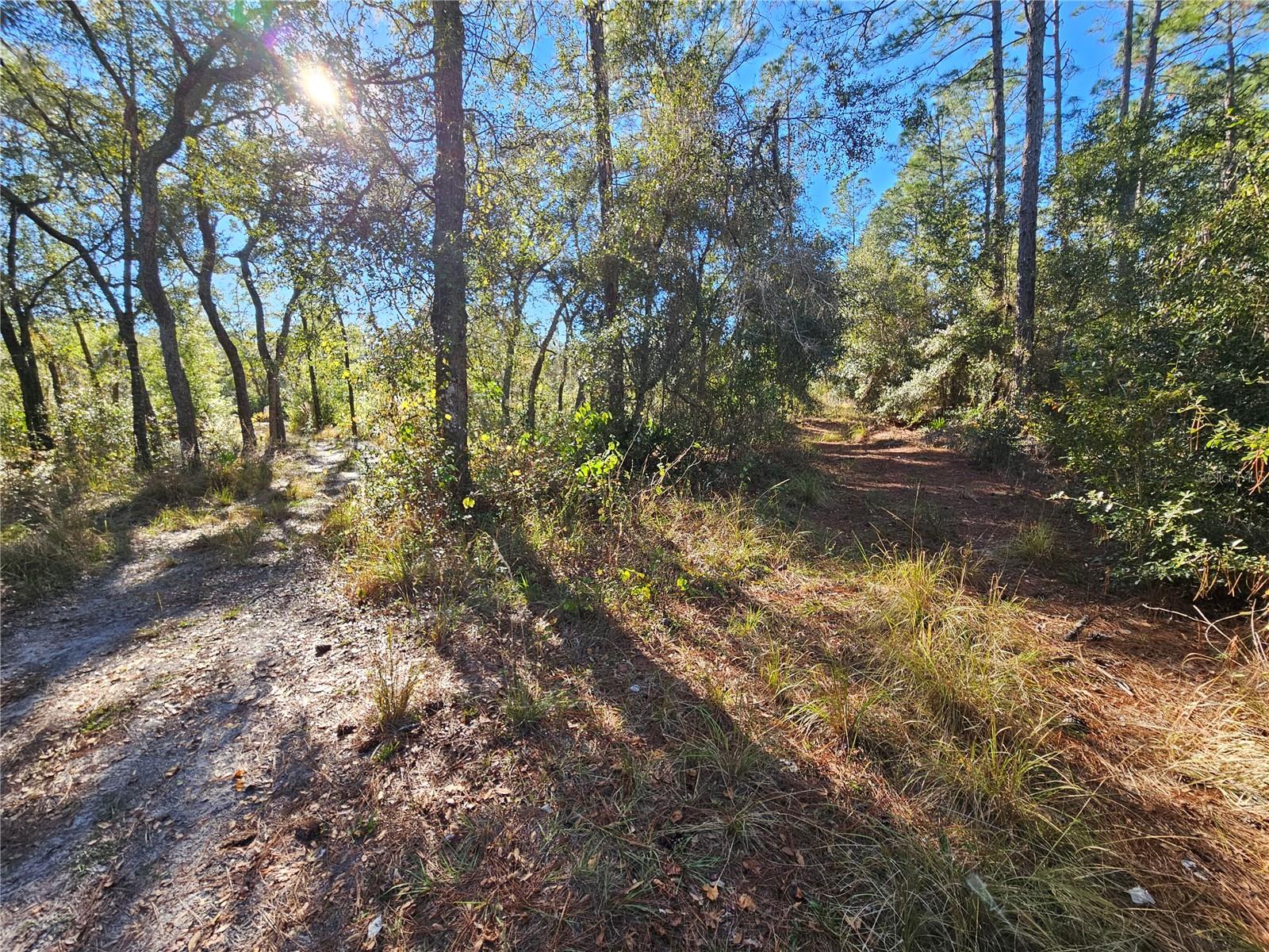 Berryhill Dr Property Photo 6