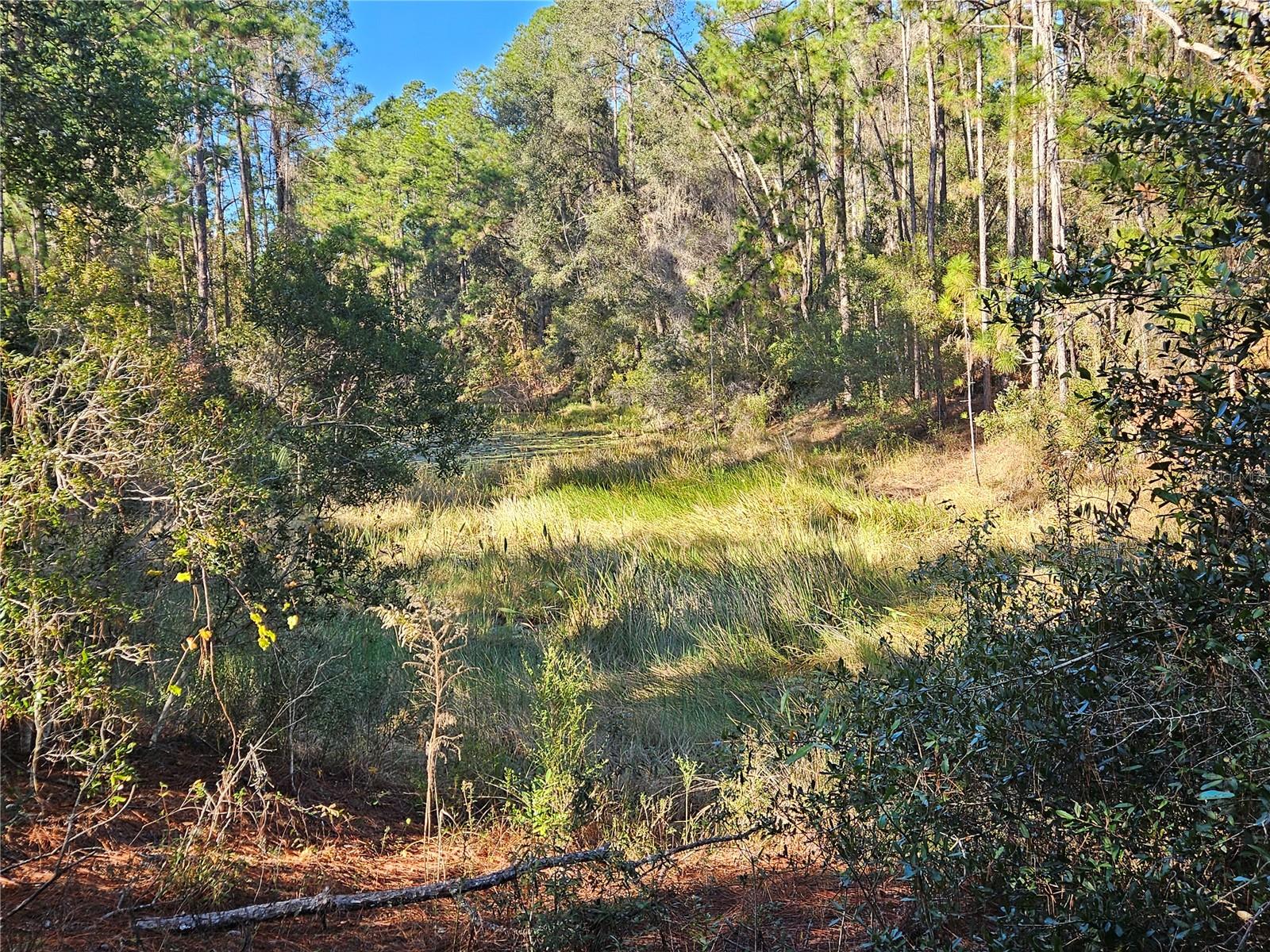 Berryhill Dr Property Photo 7