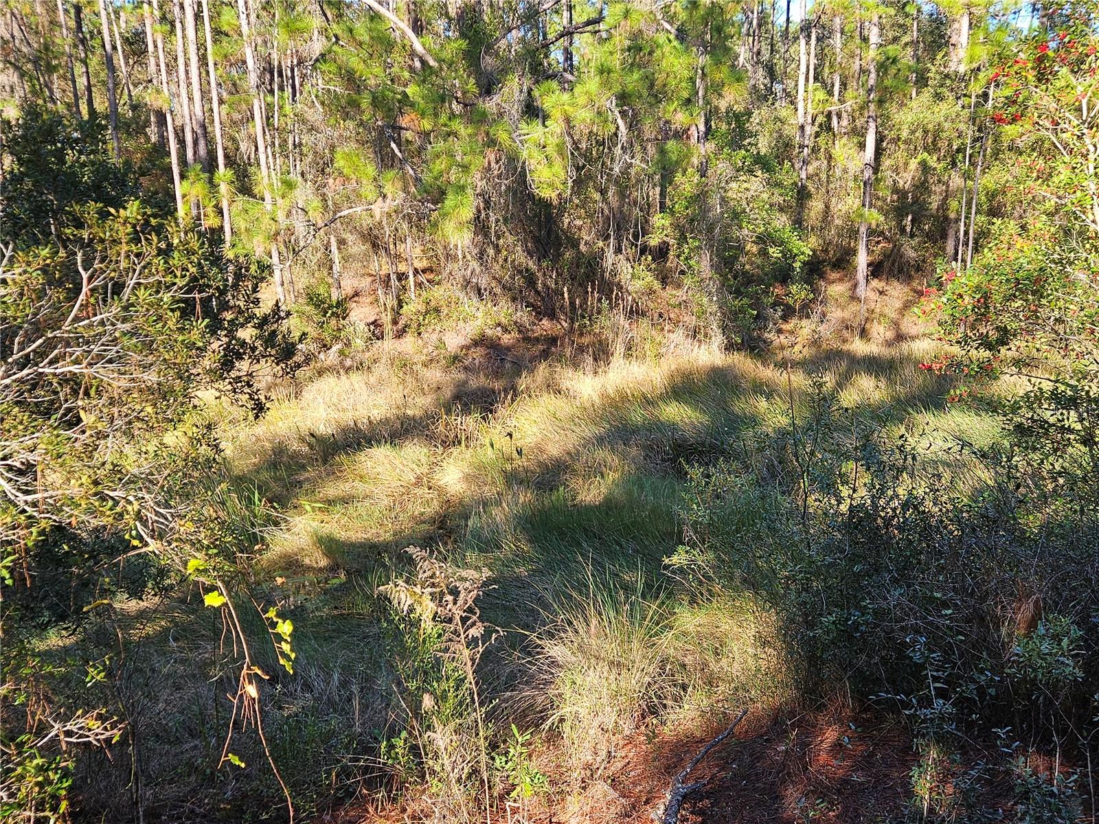 Berryhill Dr Property Photo 8