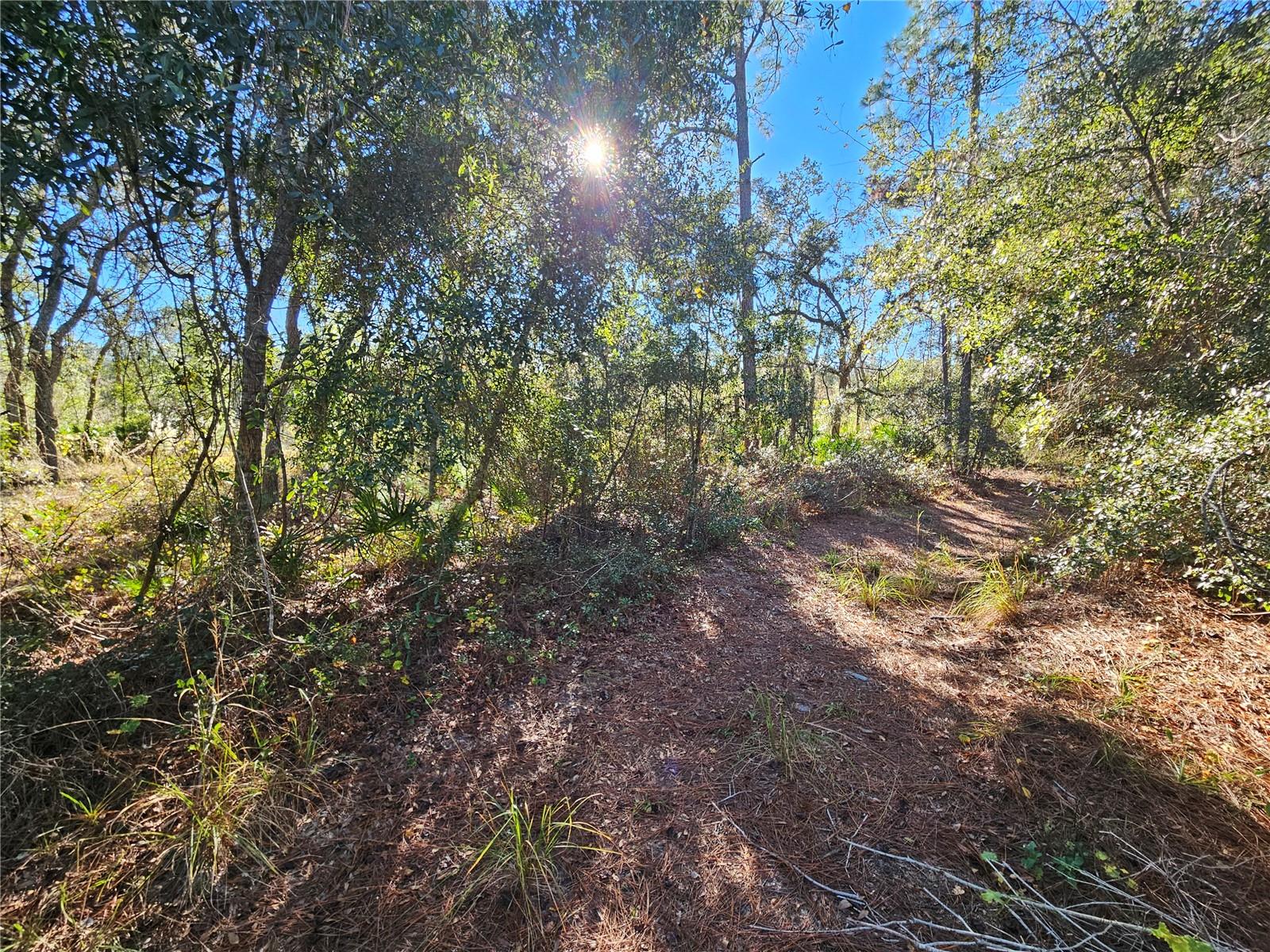 Berryhill Dr Property Photo 9