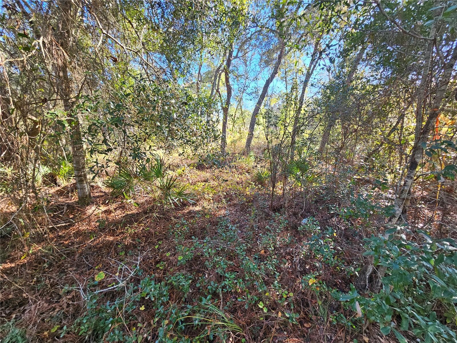 Berryhill Dr Property Photo 10