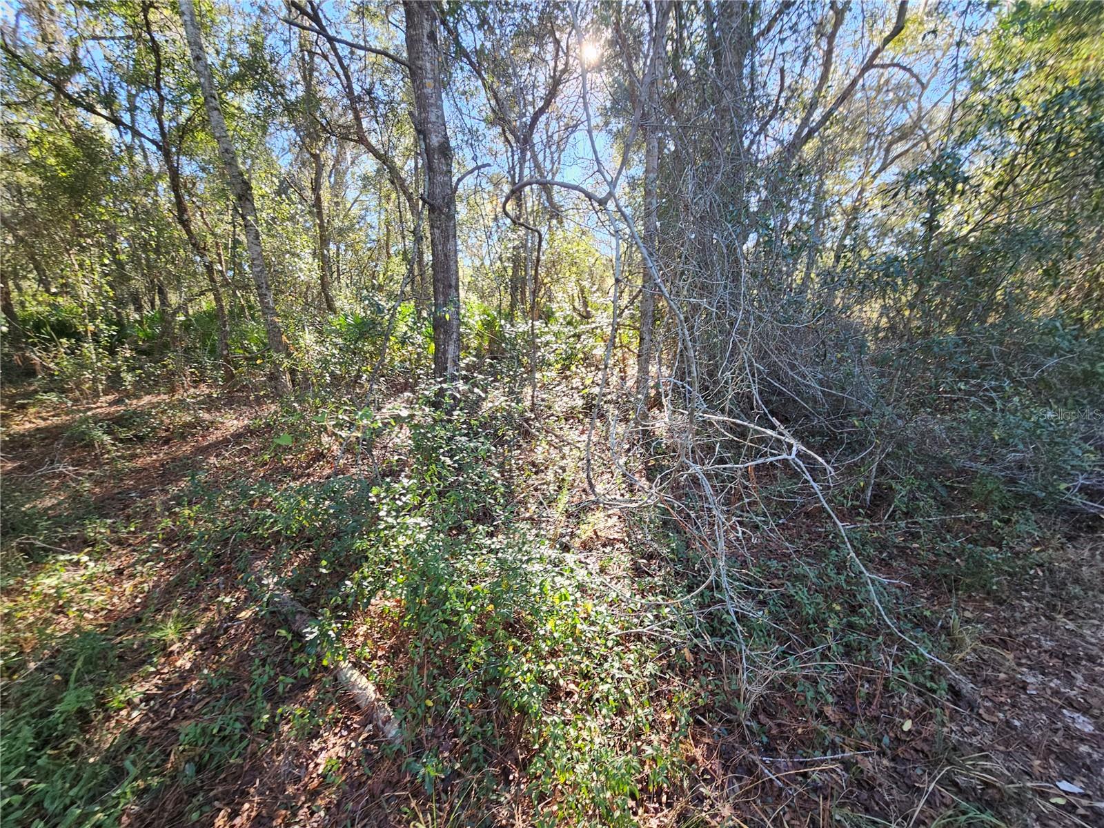 Berryhill Dr Property Photo 11