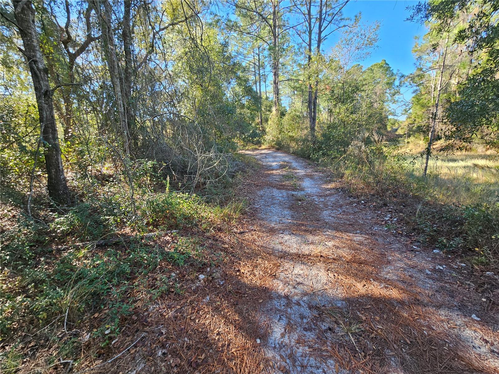 Berryhill Dr Property Photo 12