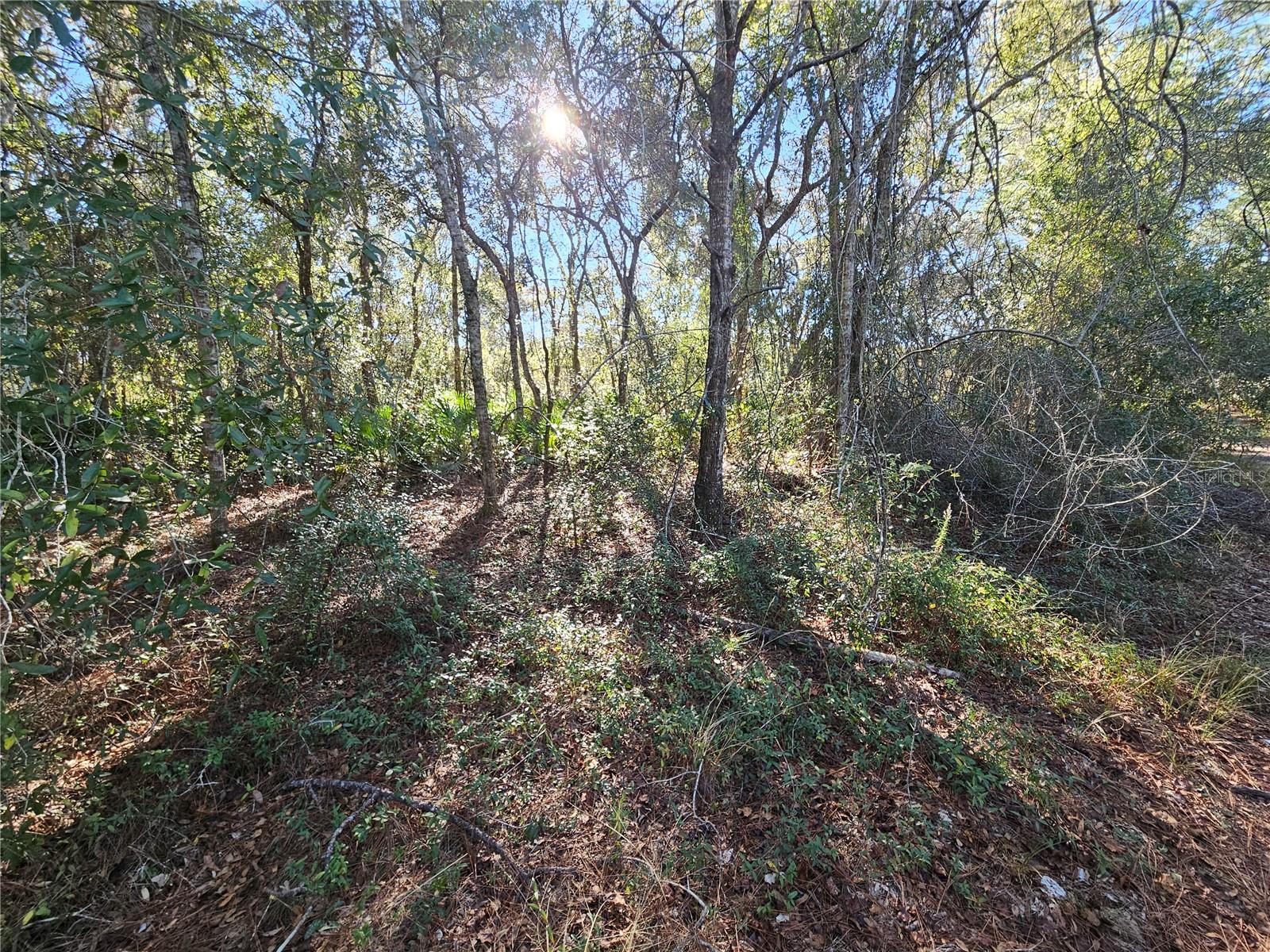 Berryhill Dr Property Photo 13
