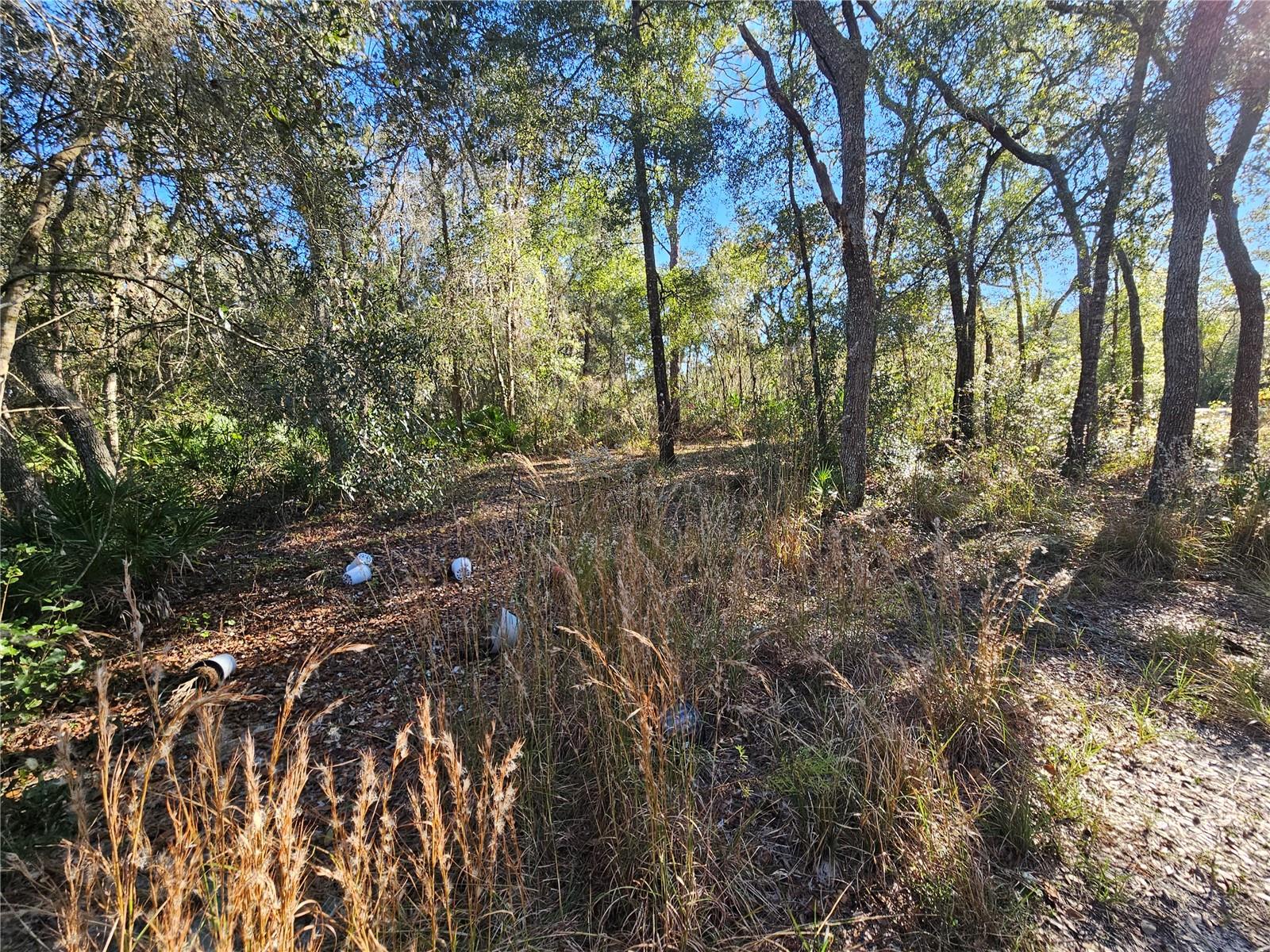 Berryhill Dr Property Photo 14
