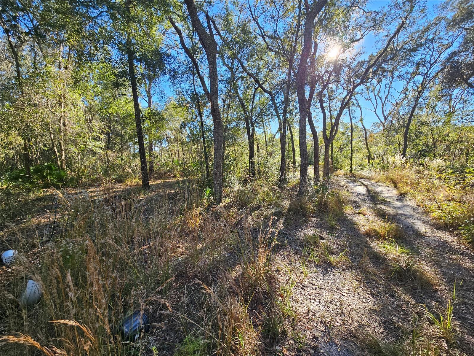 Berryhill Dr Property Photo 15