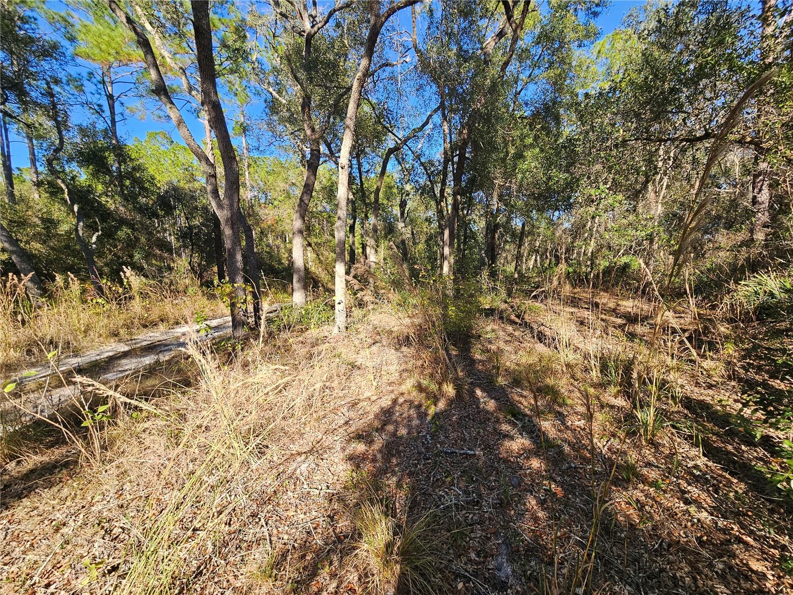 Berryhill Dr Property Photo 16