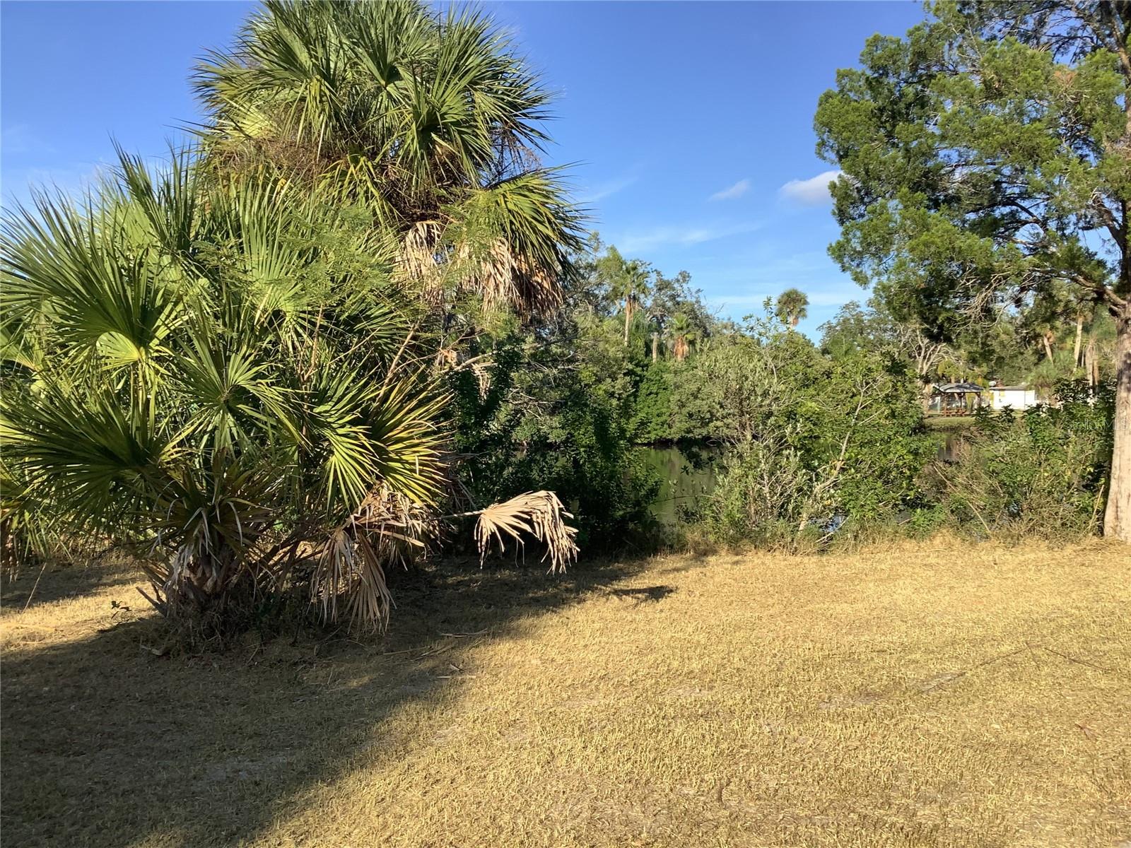 14144 Pine St Property Photo 5
