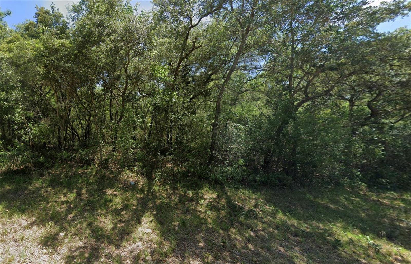 3908 W Tropic Ln Property Photo 7
