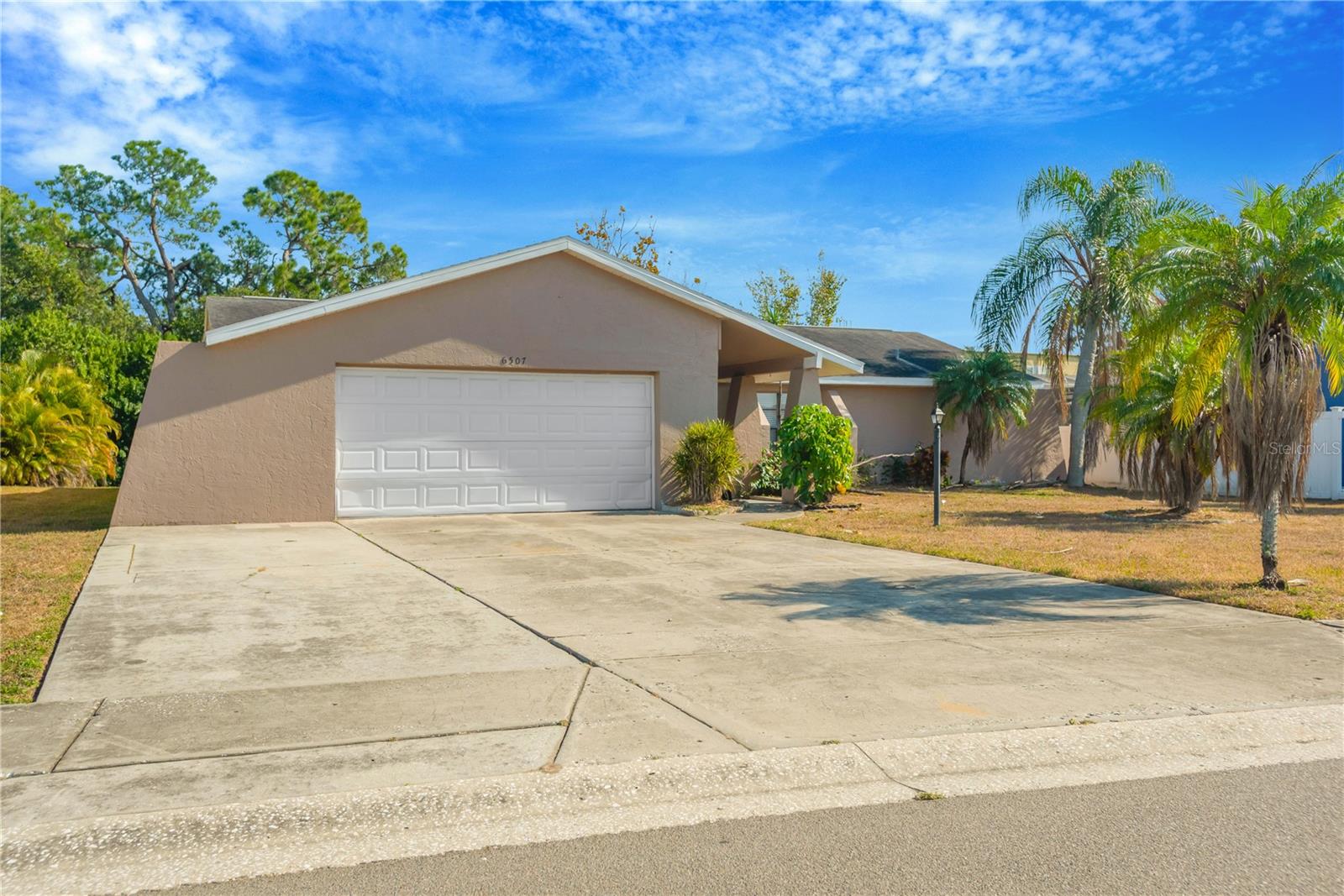 6507 Manila Palm Way Property Photo 2