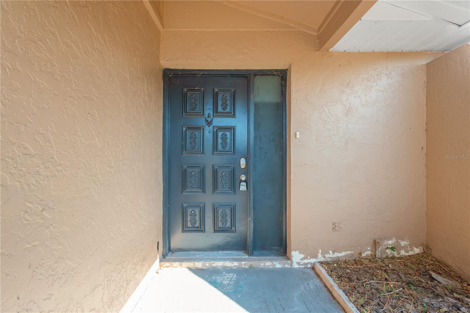 6507 Manila Palm Way Property Photo 5