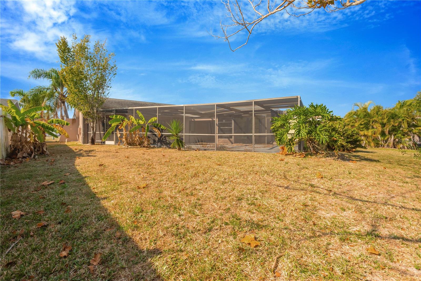 6507 Manila Palm Way Property Photo 27