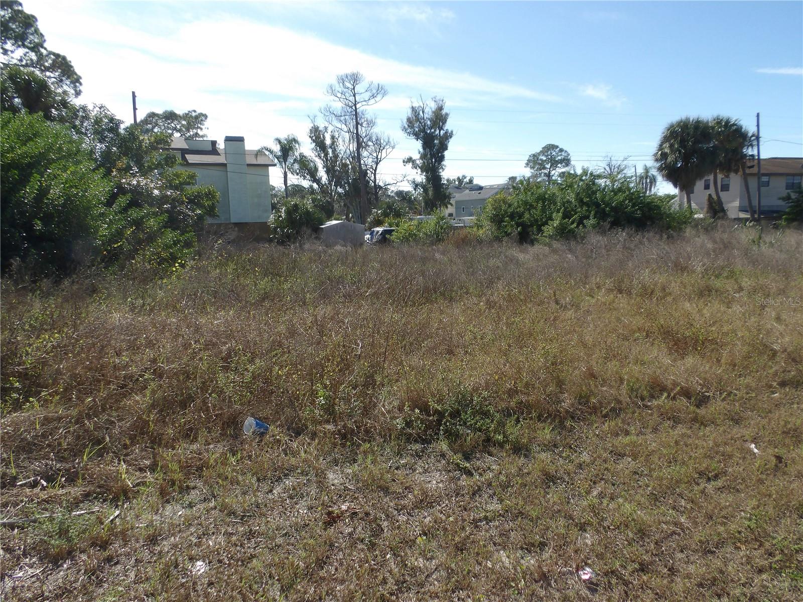 523 Doric Ct Property Photo 3