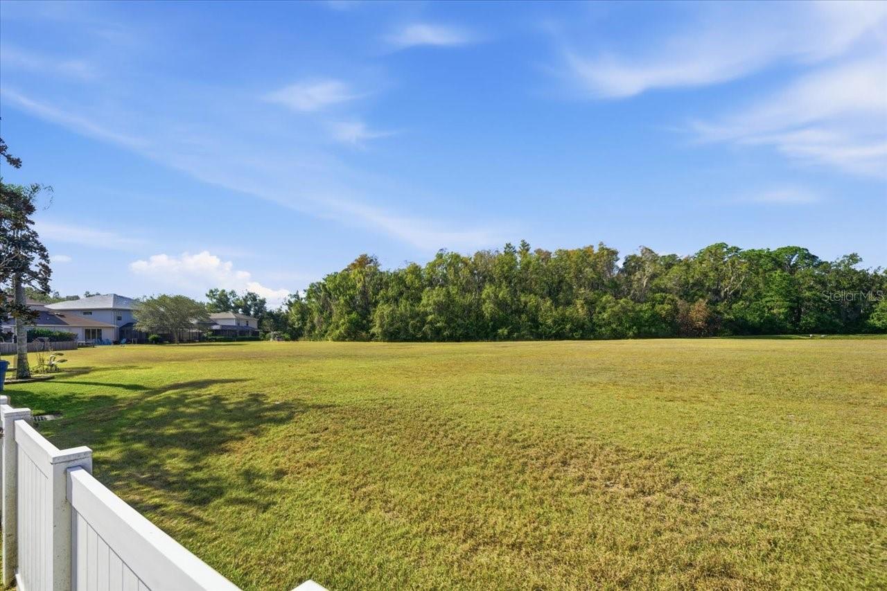 18425 Cypress Bay Pkwy Property Photo 28