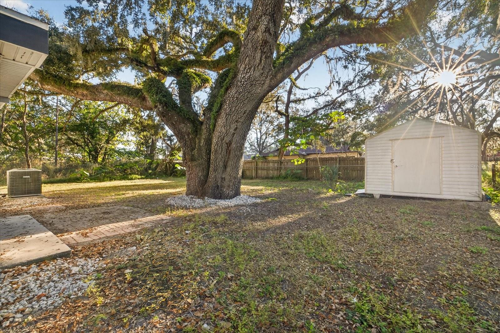 34796 Gardenia Way Property Photo 31
