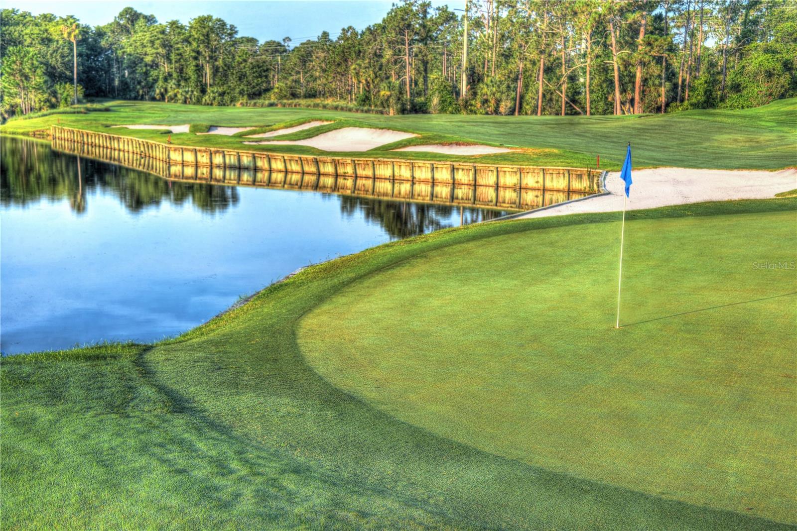 441 Stirling Bridge Dr Property Photo 39