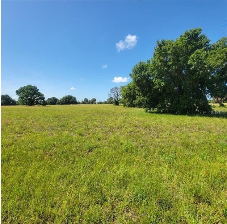 87 LATEEN SAIL DR Property Photo 1