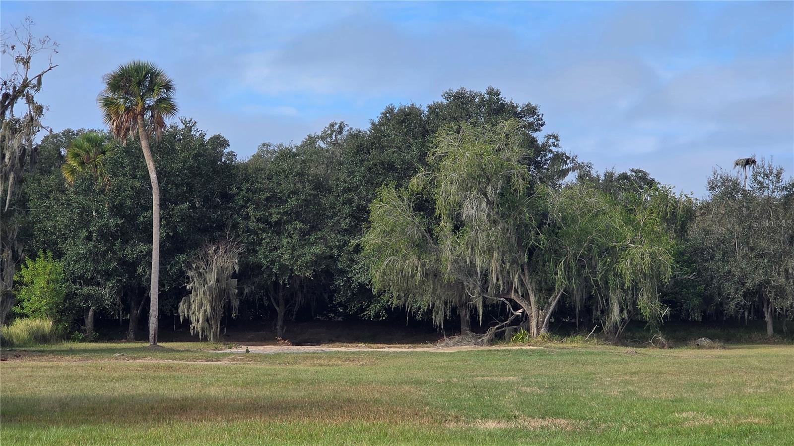15311 Fishhawk Heights Run Property Photo 2