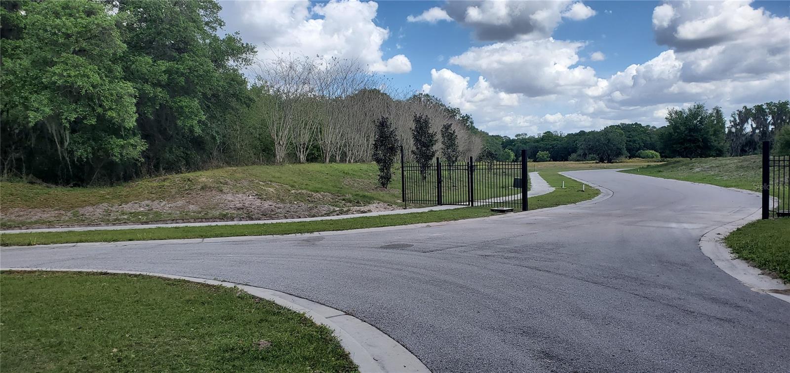 15311 Fishhawk Heights Run Property Photo 4