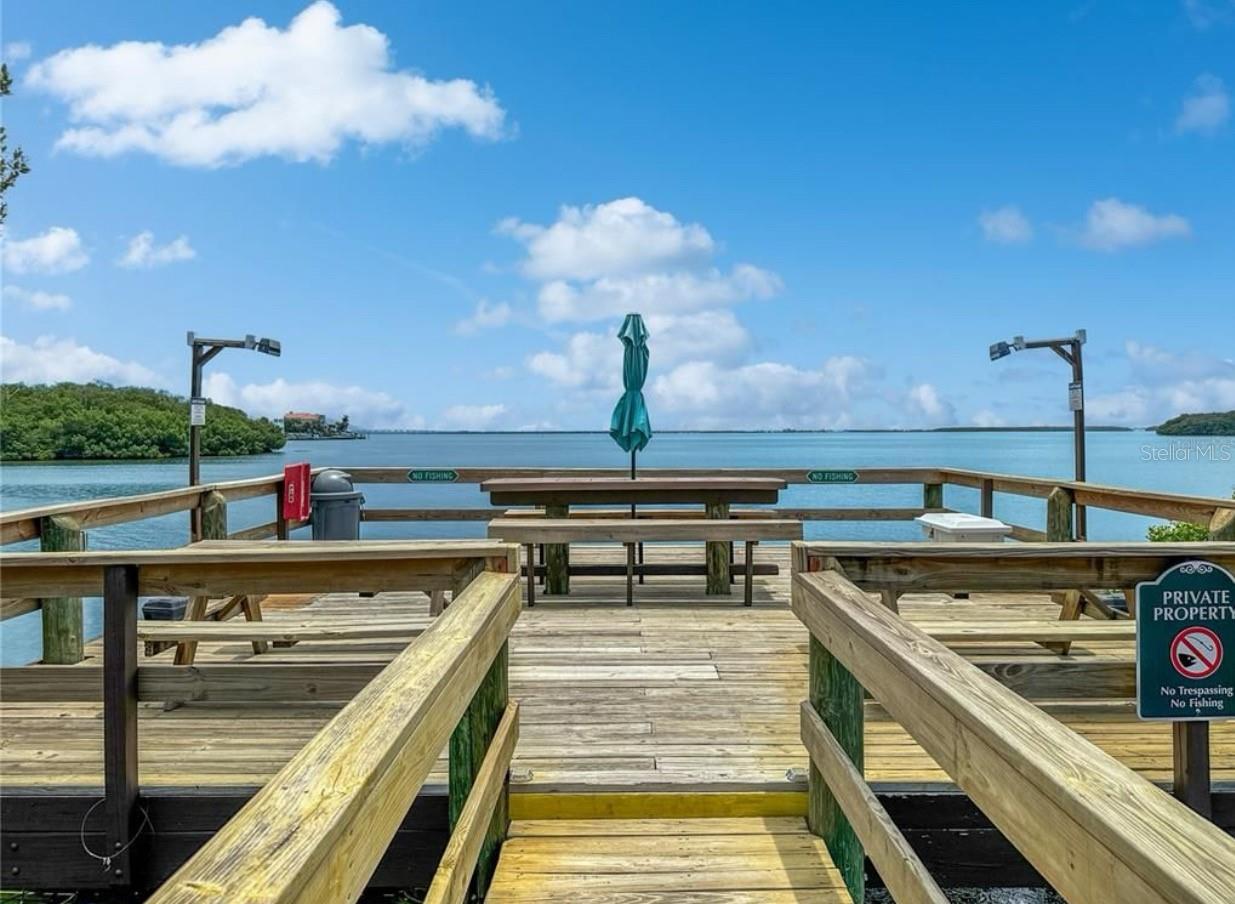1515 Pinellas Bayway S #1 Property Photo 1