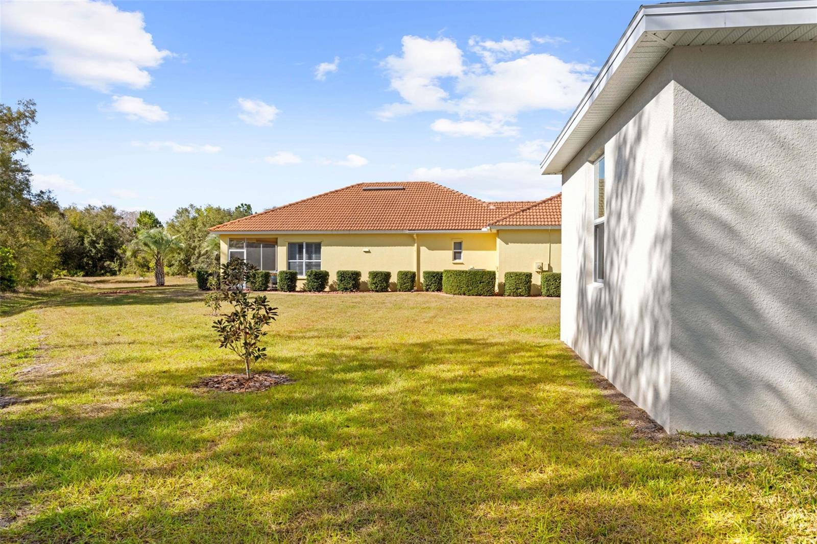 9316 Gentle Ben Ct Property Photo 49