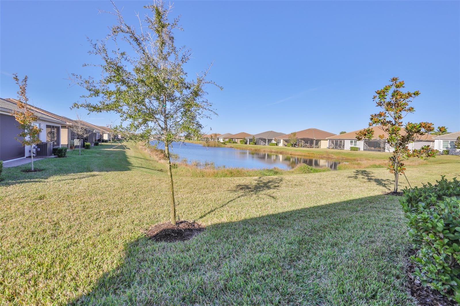 4906 Avila Lakes Dr Property Photo 39