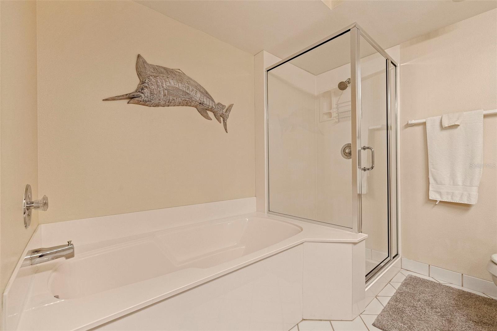 6105 Bahia Del Mar Cir #683 Property Photo 13