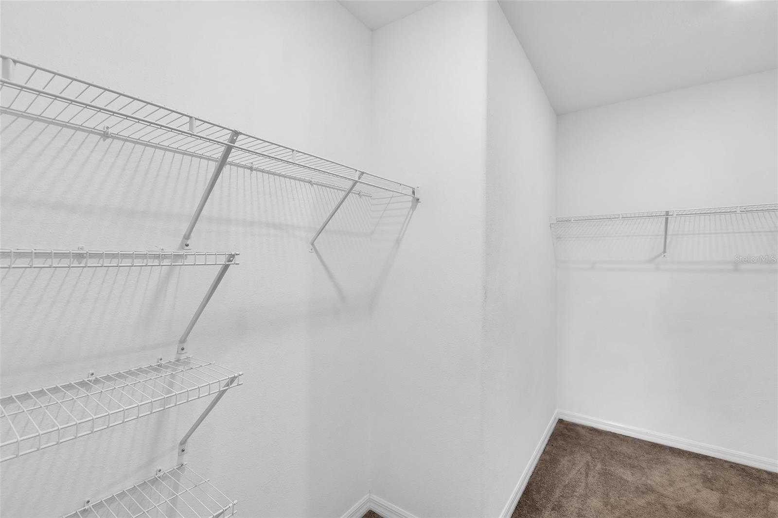 5204 White Chicory Dr Property Photo 23