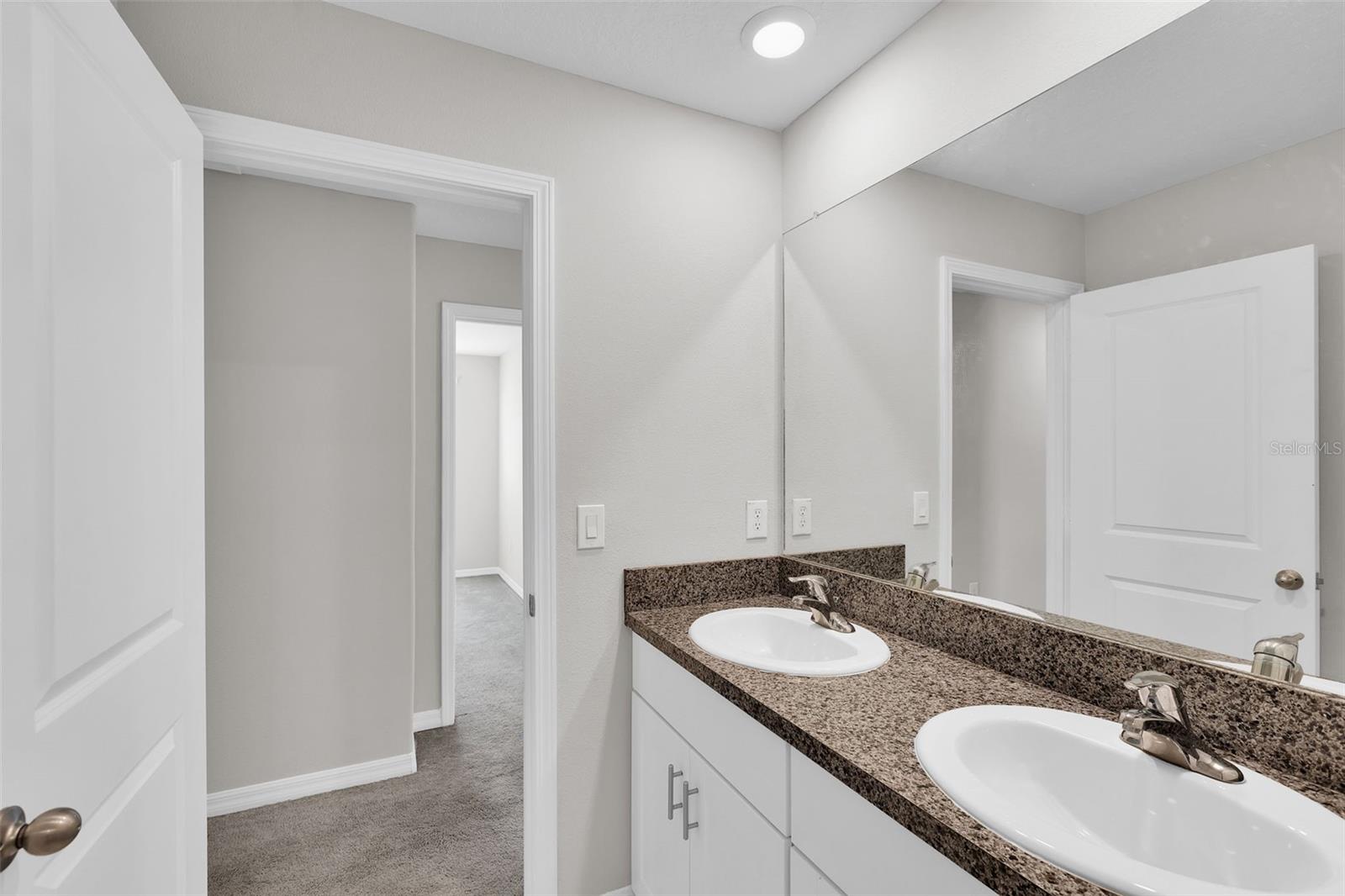 5204 White Chicory Dr Property Photo 33