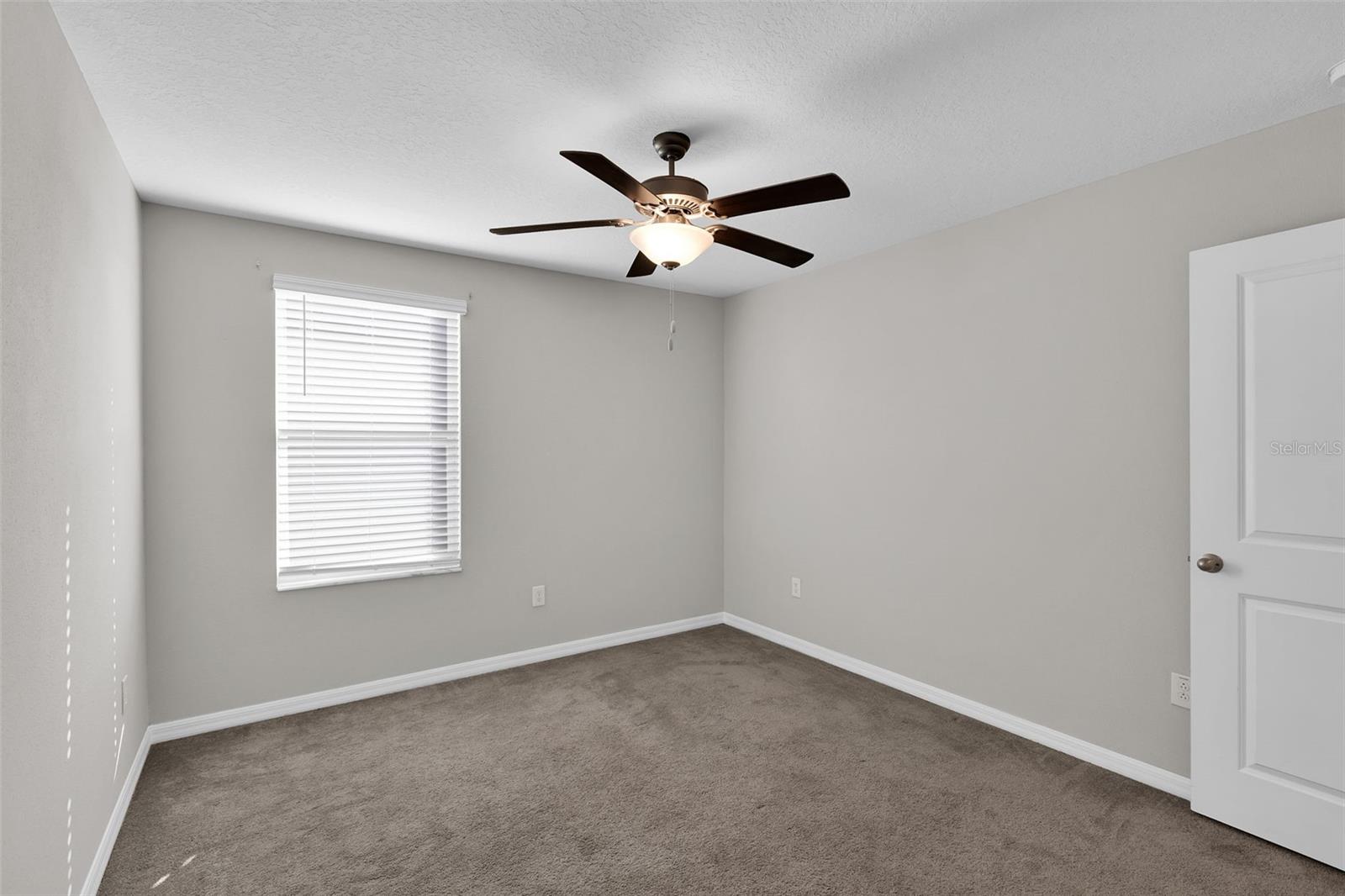5204 White Chicory Dr Property Photo 41