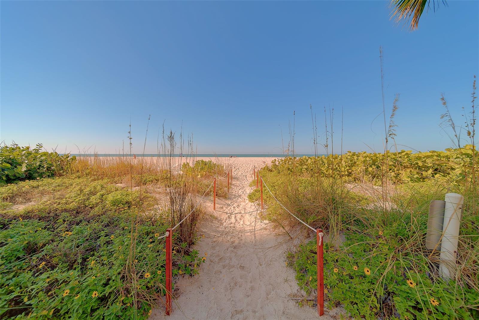 1480 Gulf Blvd #201 Property Photo 58