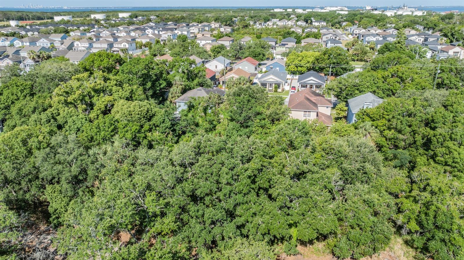 Port Tampa Property Photo 2