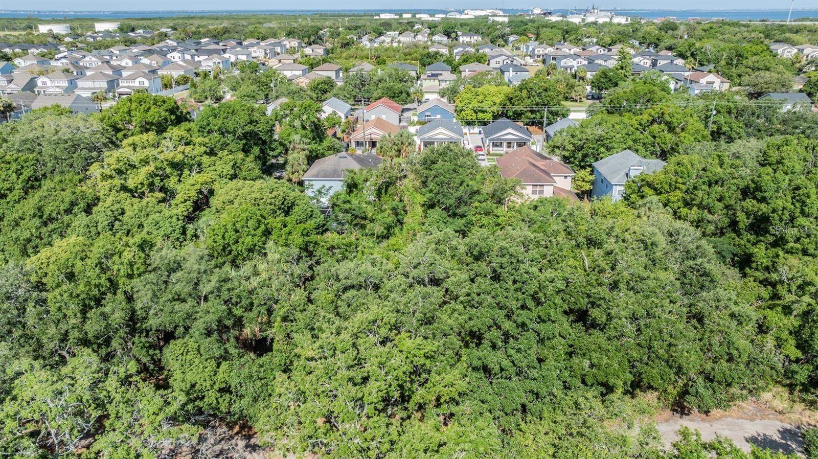 Port Tampa Property Photo 3