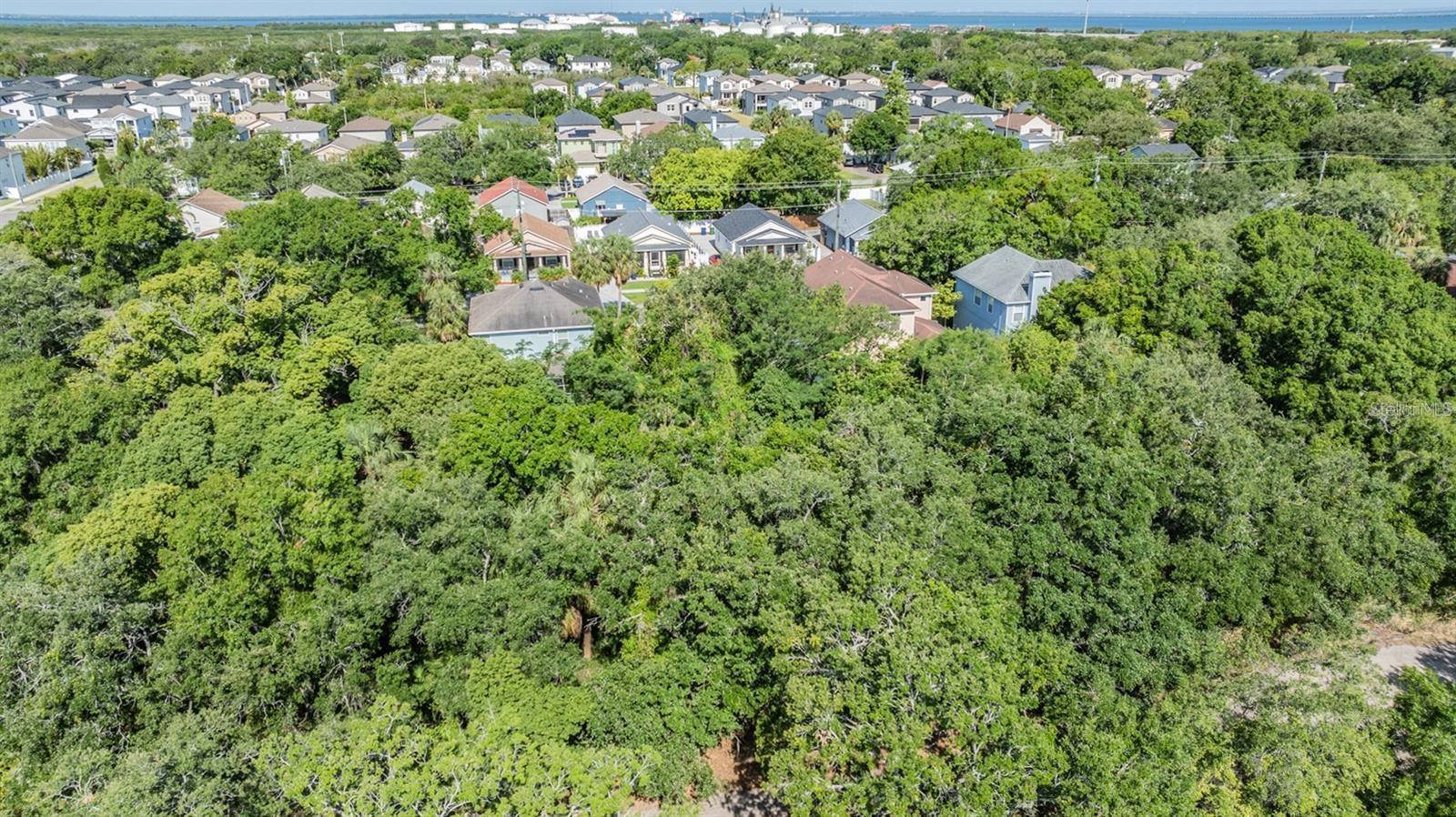 Port Tampa Property Photo 4
