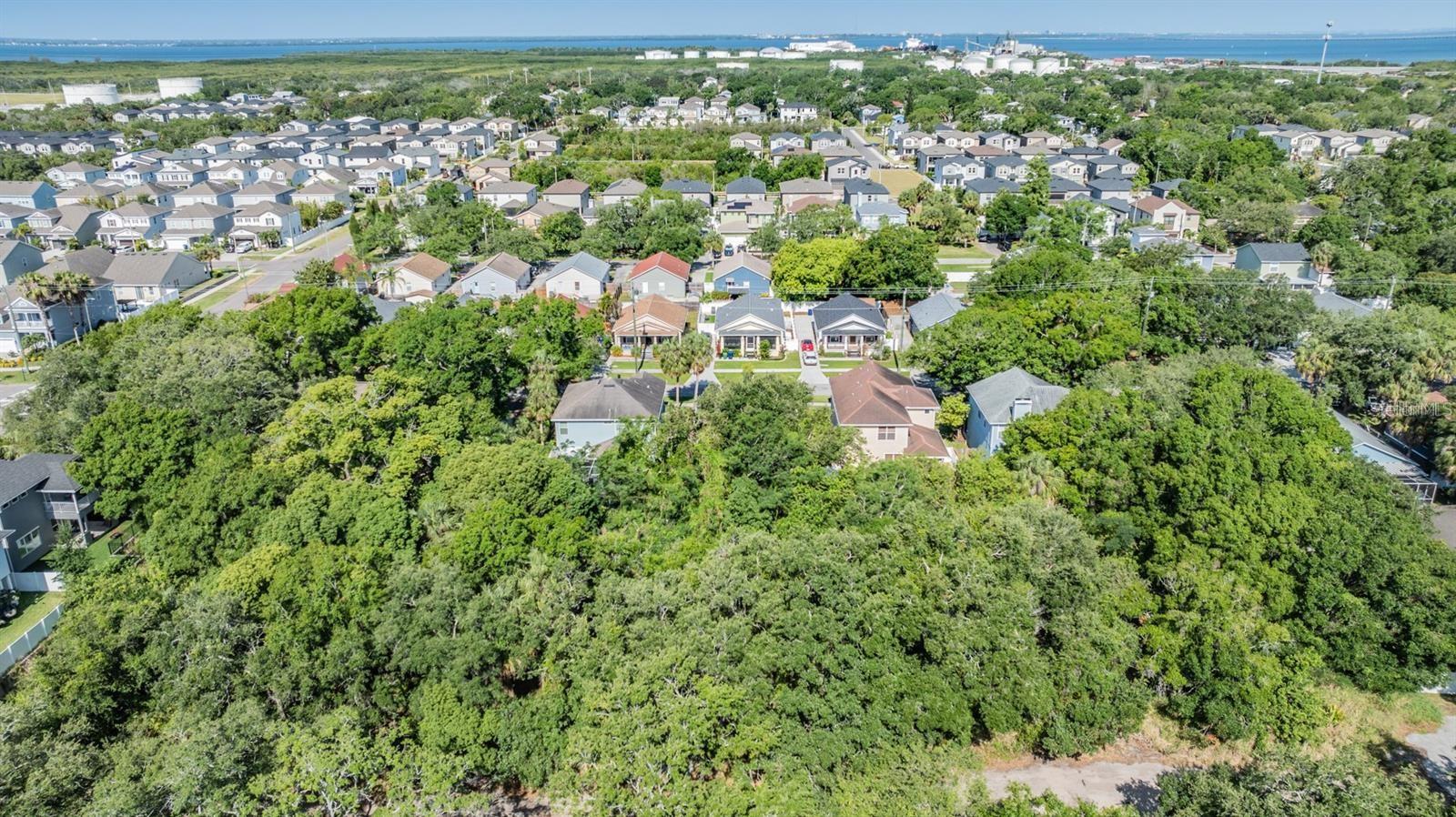 Port Tampa Property Photo 6