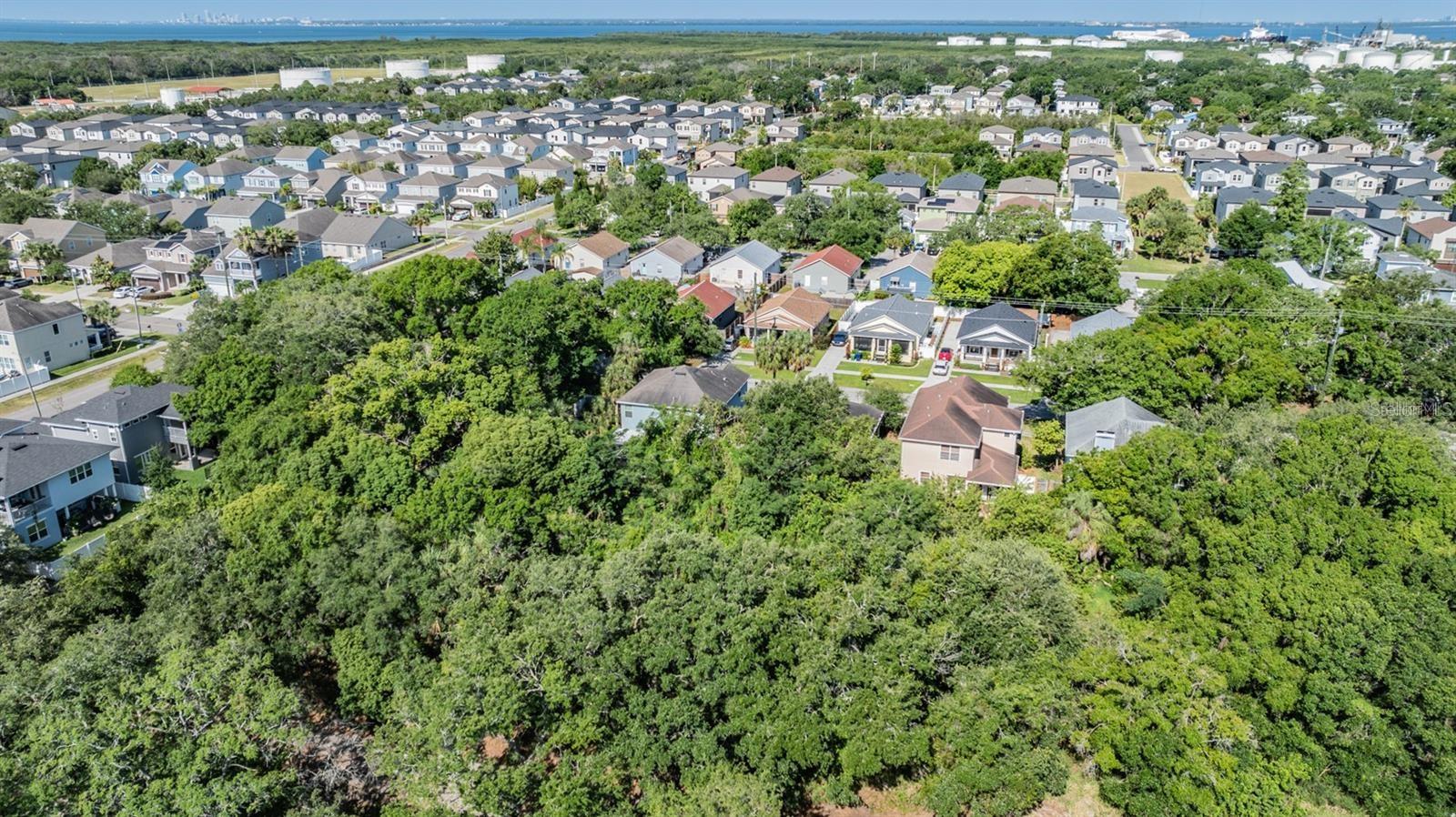 Port Tampa Property Photo 7