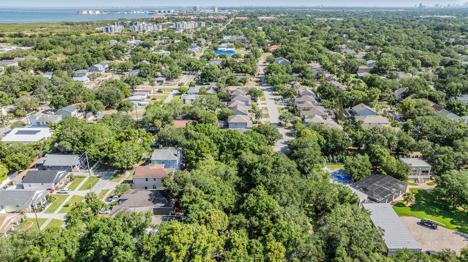 Port Tampa Property Photo 11