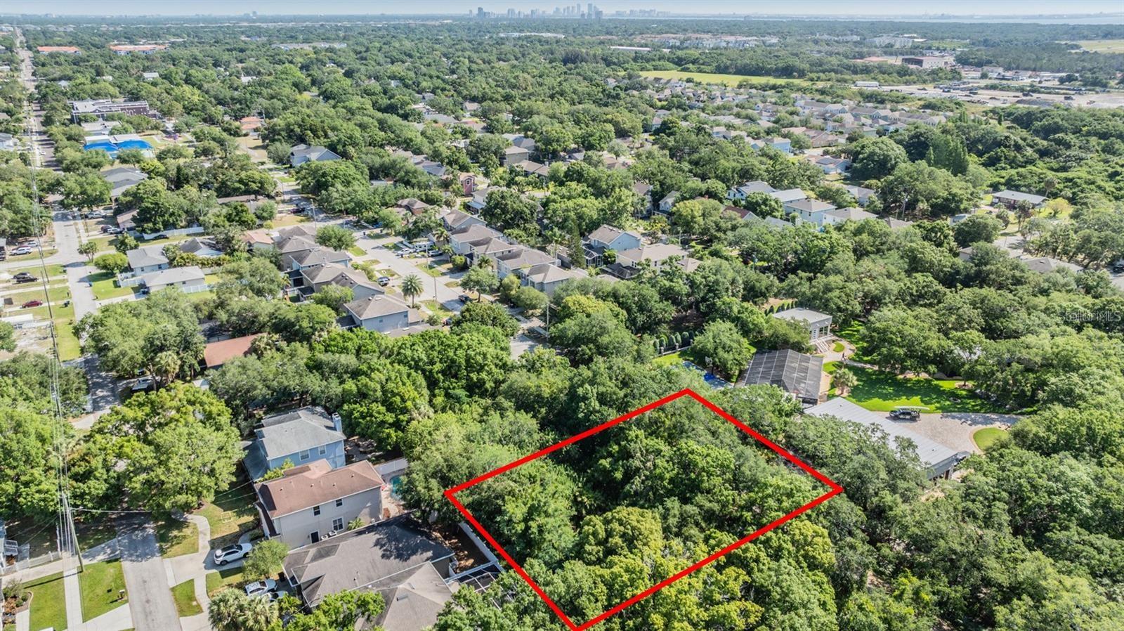 Port Tampa Property Photo 12