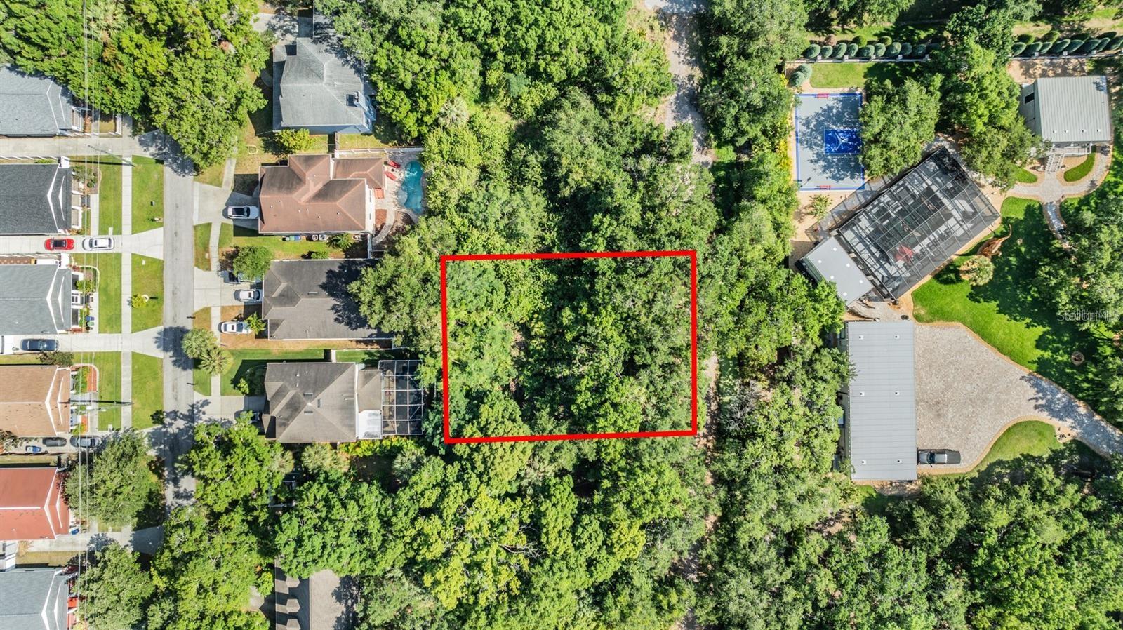 Port Tampa Property Photo 20