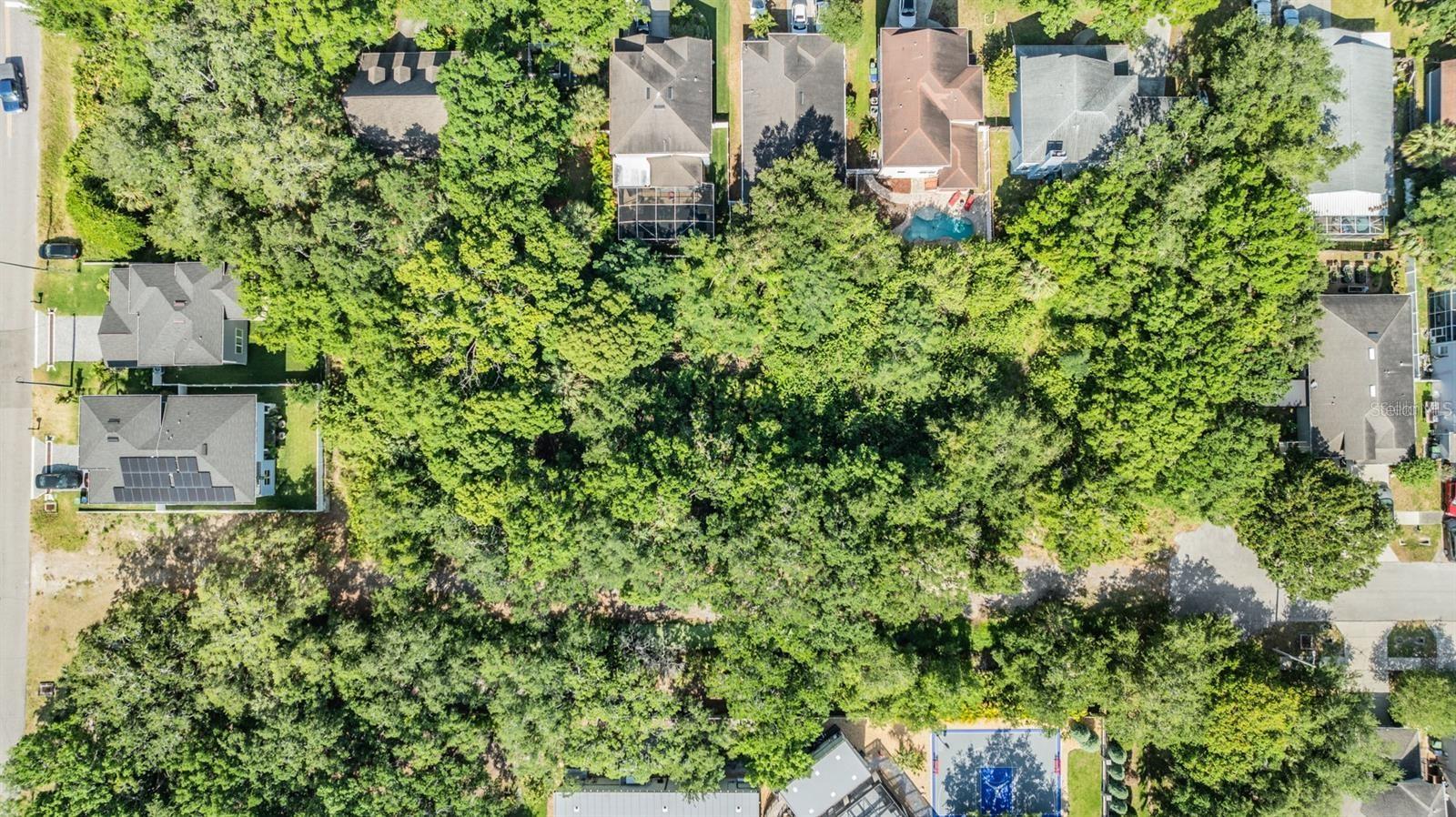 Port Tampa Property Photo 21