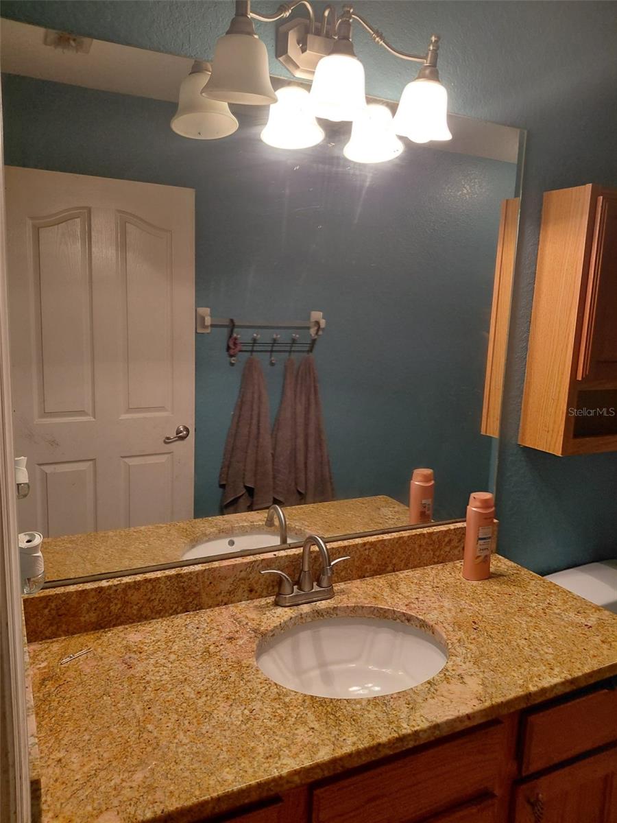 11382 Mahopac Rd Property Photo 22