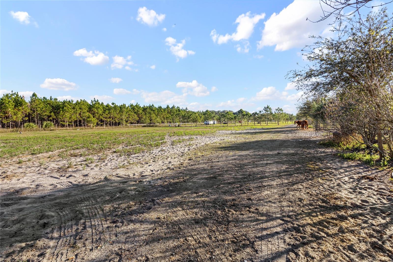18121 Bethlehem Rd Property Photo 10