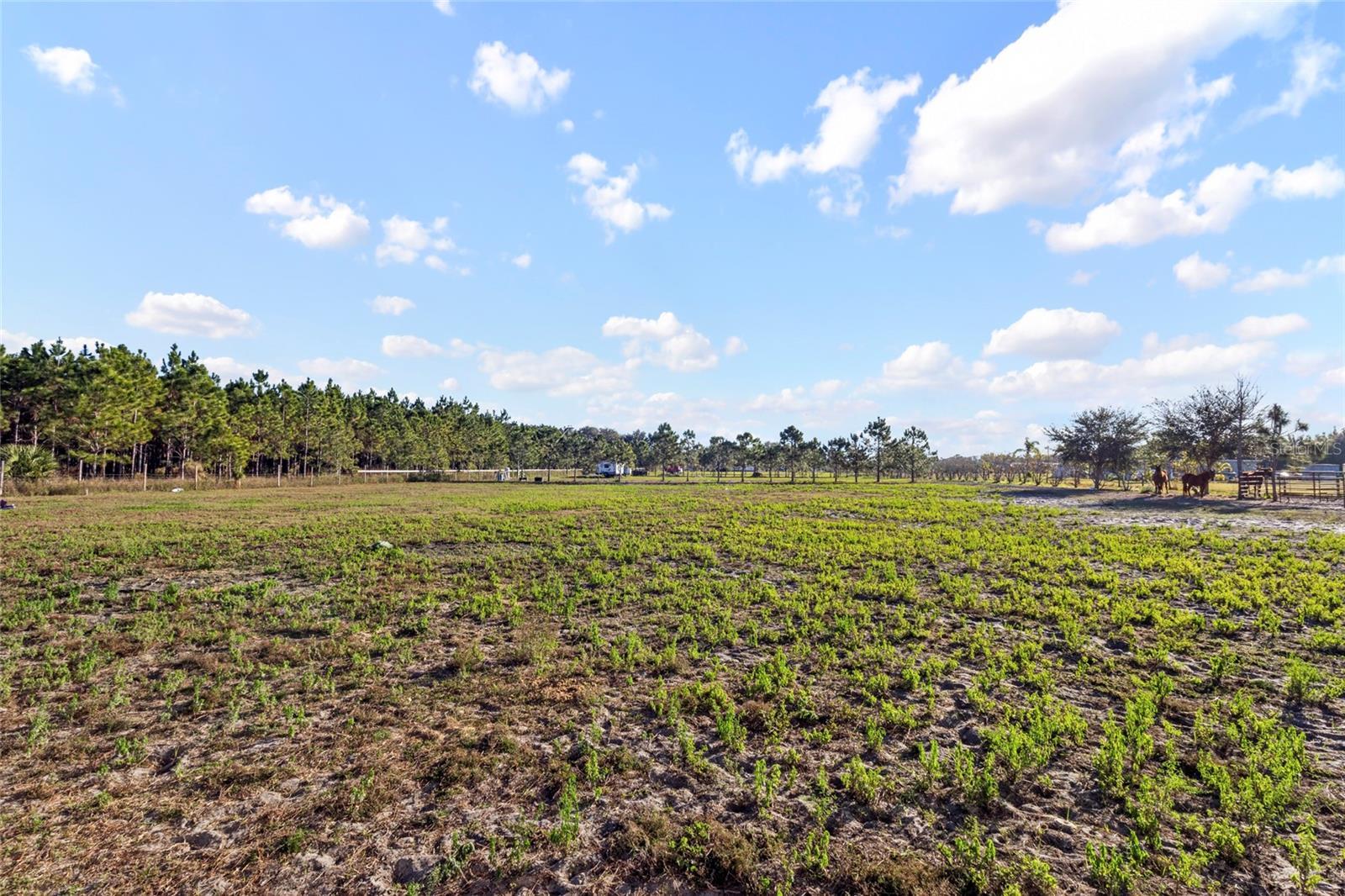 18121 Bethlehem Rd Property Photo 11