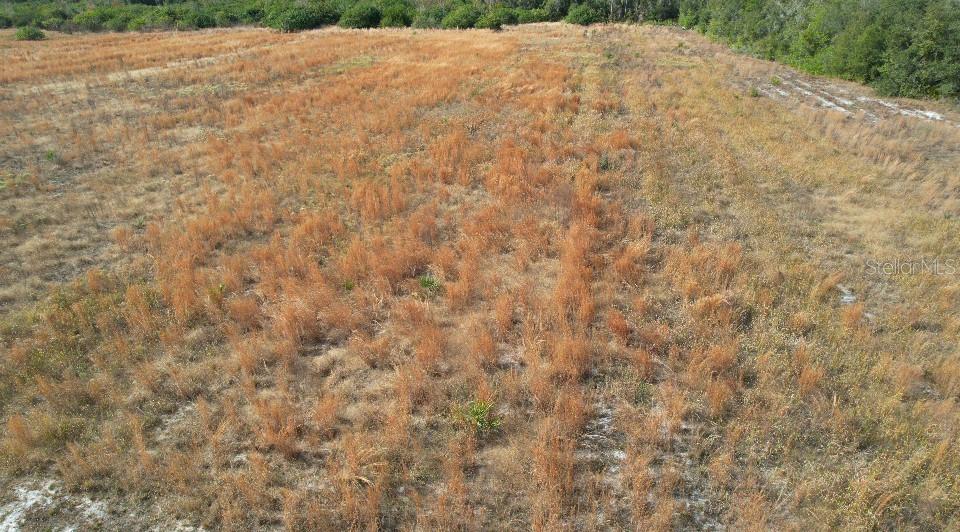 14421 Seminole Trl Property Photo 7