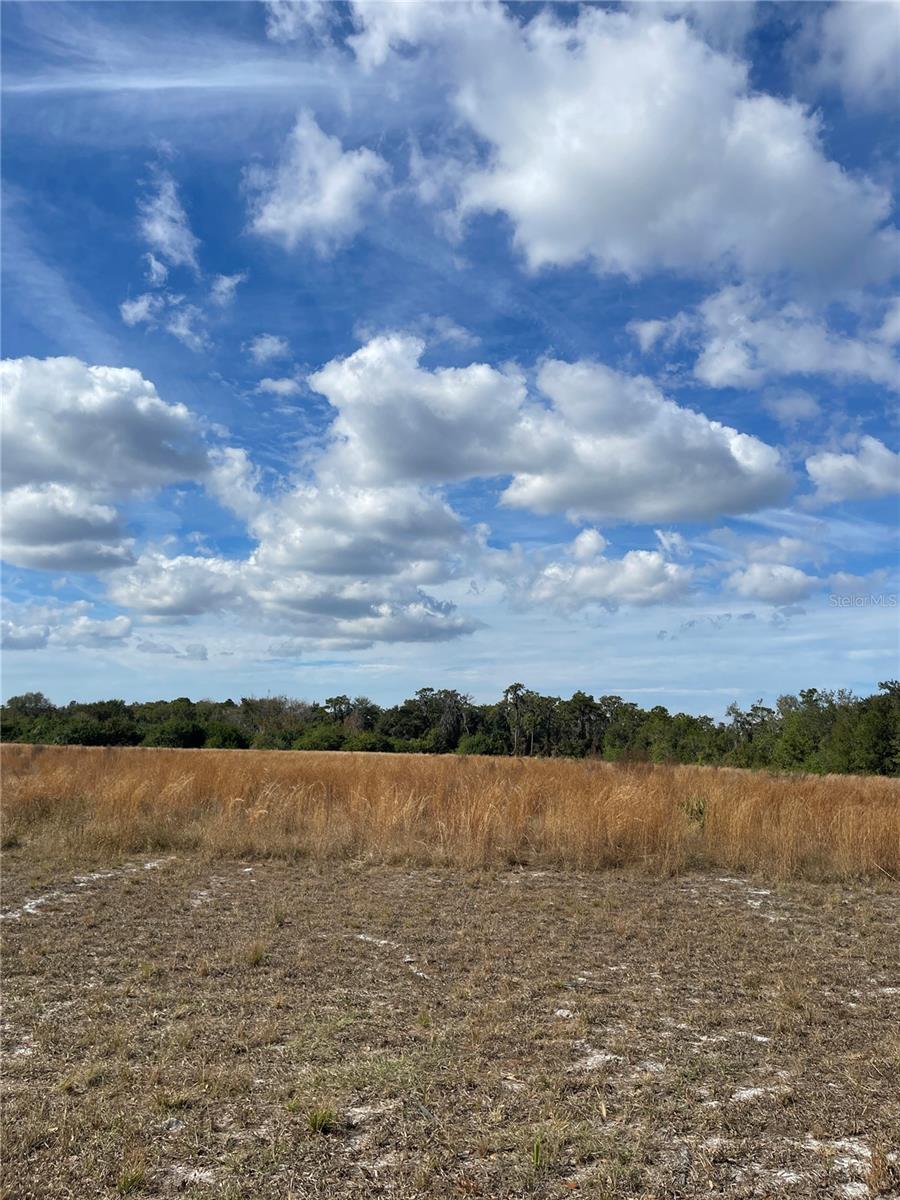 14421 Seminole Trl Property Photo 10