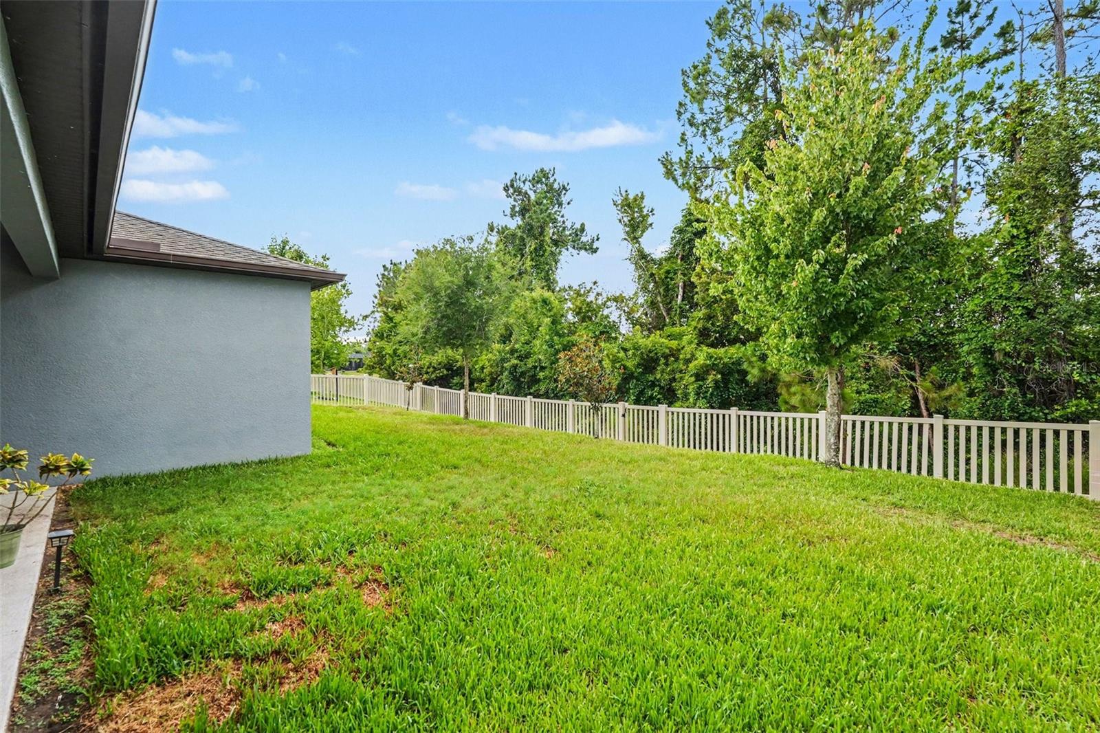 12593 Palapa Loop Property Photo 25