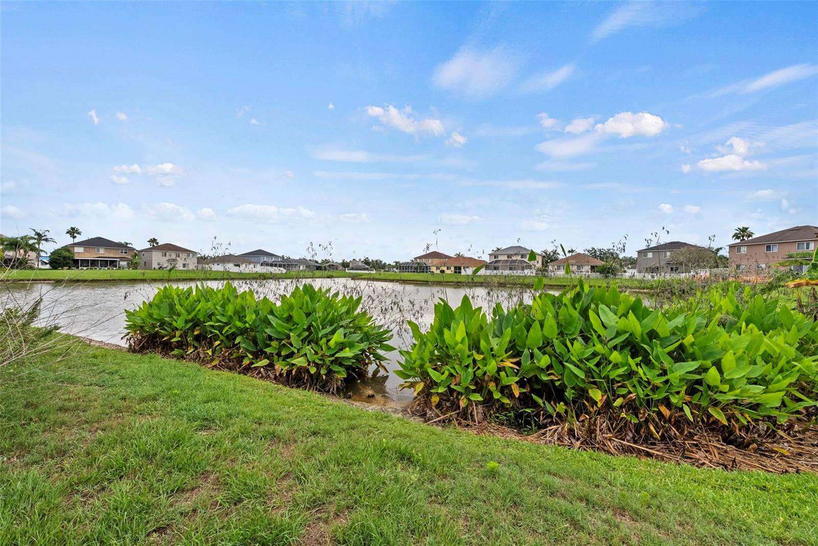 25521 Bruford Blvd Property Photo 48
