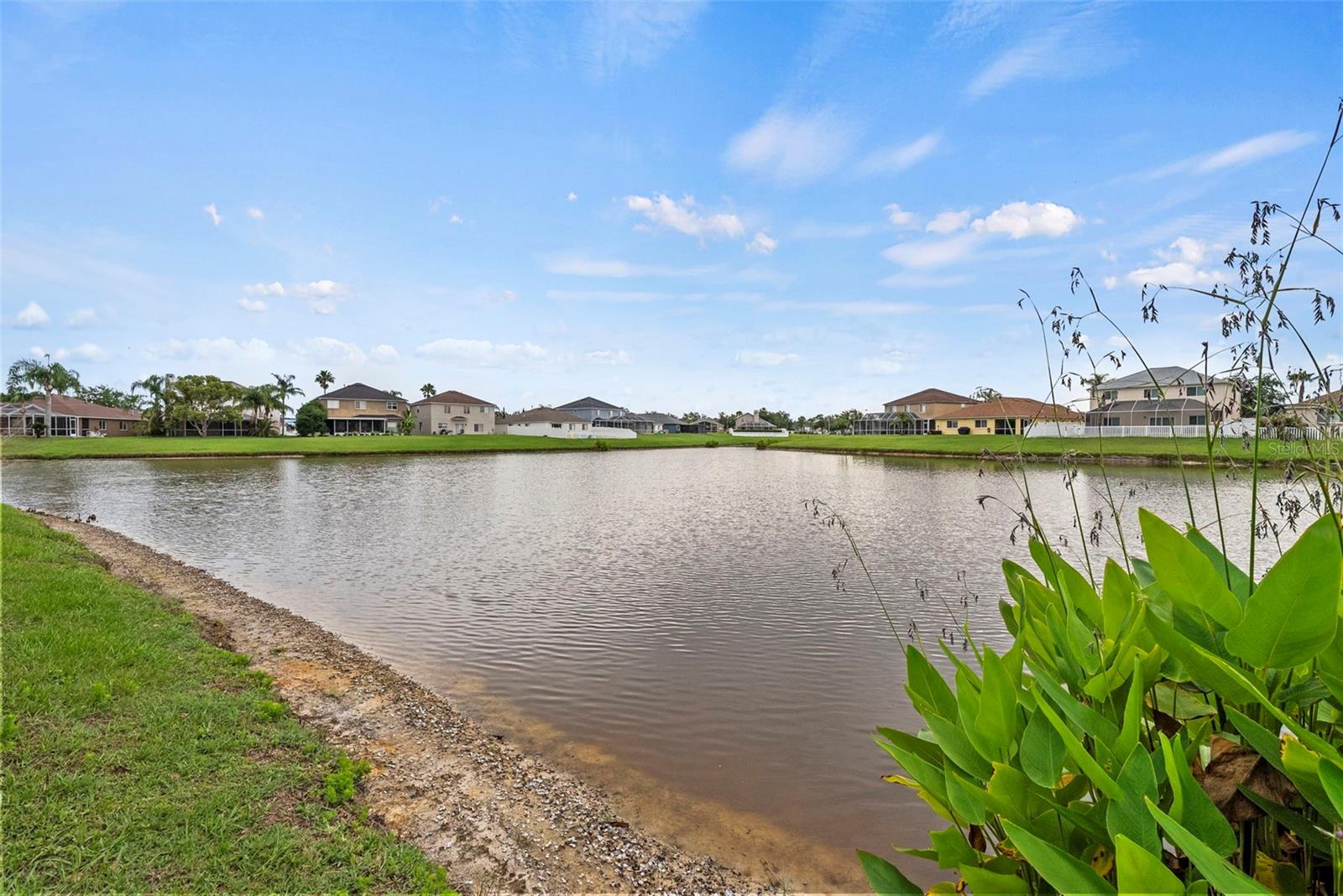 25521 Bruford Blvd Property Photo 49