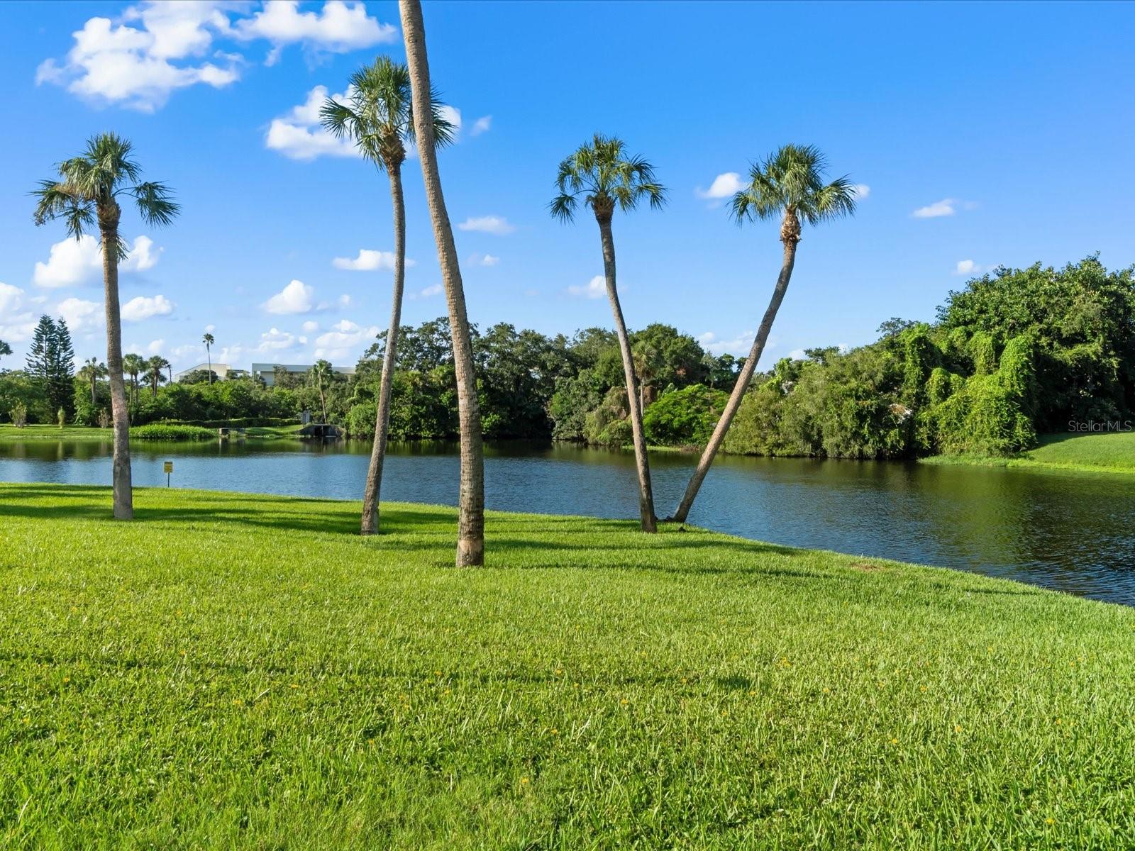 220 Belleview Blvd #702 Property Photo 8